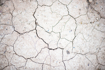 Fototapeta premium naturaleza muerta, foto denuncia, contaminación