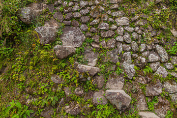 Stone steps at Batad rice terraces, Luzon island, Philippines