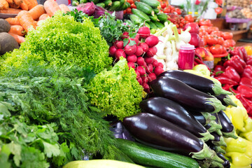 A variety of vegetables, black eggplants, juicy lettuce, dill, parsley, radish, zucchini are on the market counter.
