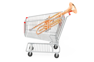 Shopping cart with trumpet. 3D rendering