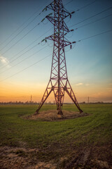 power lines in the morning