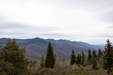 Fototapeta na wymiar Hiking in the Black Mountains in Western North Carolina