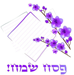 Happy Passover, traditional jewish holiday background. Matzah bread, almond flowers. Text (Happy Passover on Hebrew), vector illustration.