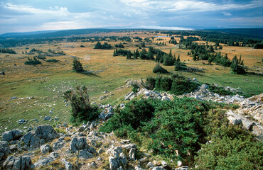 Plateau landscape in Wyoming, USA