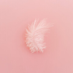 Pink feather on pastel background. Creative Easter concept. Top view.