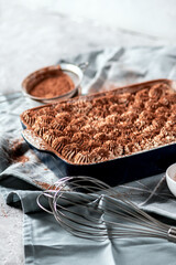 Homemade Tiramisu cake on light background