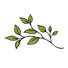 Branch of a tree with green leaves on a white background. Outline drawing. Vector isolated illustration