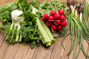 Mint sprigs, fennel tuber, celery stalks. Bunch of radishes