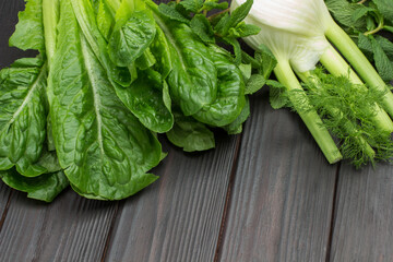 Fresh green lettuce leaves romaine and fennel