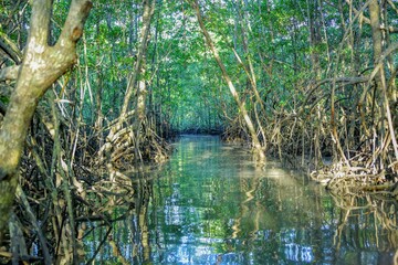 Paysages du Costa Rica