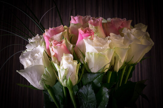 big bouquet of white and pink roses for different occasions, wishes and congratulations on a colored background