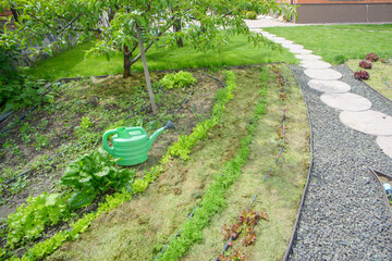 Gardener planting seedlings in freshly ploughed garden beds and spreading straw mulch. Organic...