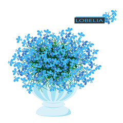 Blue lobelia flower. Plant in white flower vase. Summer bouquet of lobelia. Cute illustration.