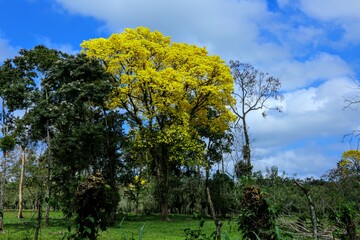 Fototapeta premium Paysages du Costa Rica