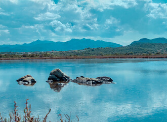 Pond of San Teodoro - Sardinia, Italy