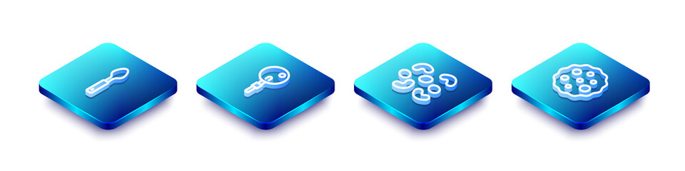 Set Isometric line Spoon, Lollipop, Jelly candy and Cookie or biscuit icon. Vector