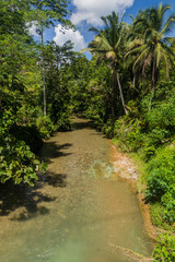 Fototapeta na wymiar Small river in a jungle of Sarawak, Malaysia