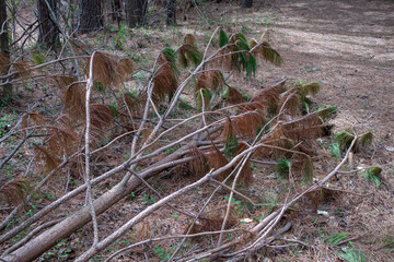 Taking A Stroll Around Rock Springs Park GA
