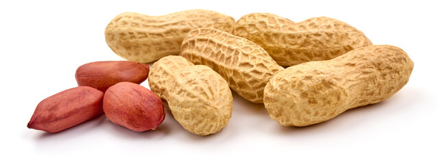 Useful peanut, isolated on white background. High resolution image