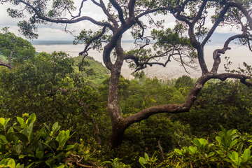 View of Bako National Park, Sarawak, Malaysia