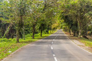 Road leading to Sepilok, Sabah, Malaysia
