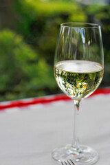 white wine in a glass cup