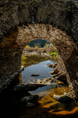 Puente viejo sobre el río de la vid en el Parque Nacional de Monfragüe. Red Natura 2000. España