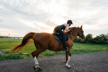 A young pretty girl jockey riding a thoroughbred stallion is engaged in horse riding at sunset. Equestrian sports., horse riding