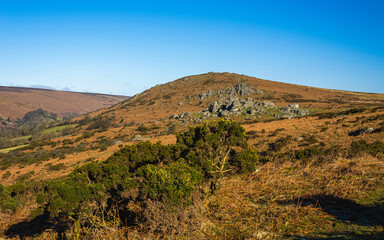 Fields and meadows in Haytor Rocks, Dartmoor Park, Widecombe in the Moor, Devon, England, Europe