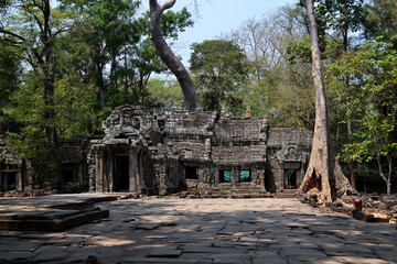 Fototapeta na wymiar Ta Prohm Temple, near to Siem Reap, Cambodia. One of the most monumental temples on the territory of the Hindu complex Angkor in Cambodia. Located in thick jungle in a dilapidated condition. Roots