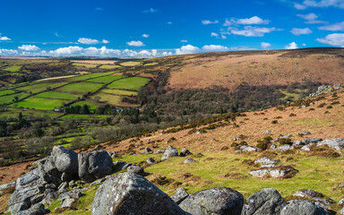 Fields and meadows in Haytor Rocks, Dartmoor Park, Widecombe in the Moor, Devon, England, Europe