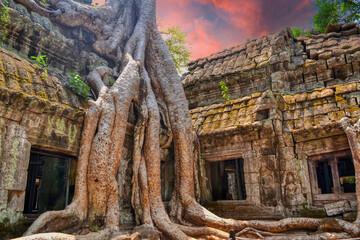 Ta Prohm Temple, near to Siem Reap, Cambodia. One of the most monumental temples on the territory...