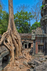 Naklejka premium Ta Prohm Temple, near to Siem Reap, Cambodia. One of the most monumental temples on the territory of the Hindu complex Angkor in Cambodia. Located in thick jungle in a dilapidated condition. Roots