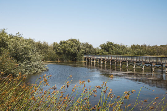 View of an old wooden bridge over Oso Flaco Lake in California, USA