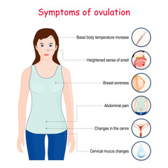 Fototapeta na wymiar Ovulation symptoms.