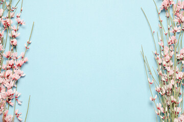 Flat lay composition of an empty blue background, decorated with blooming pink flowers on the...