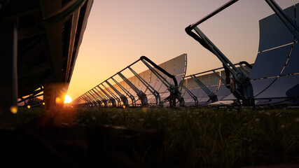 Solar water heating system in sunset light surrounded by a field with flowers. eco renewable energy 