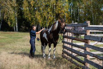 At the ranch, grooming time, a girl brushes her horse in the fall at the paddock.