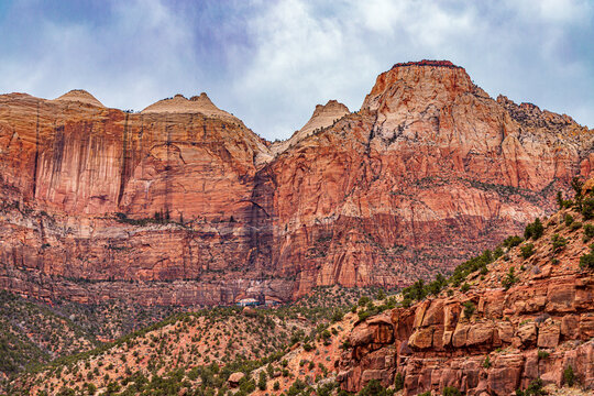 red rocks in Zion National Park