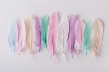 Colorful feathers on white background. Flat lay, top view