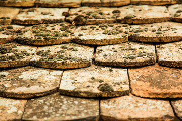 vintage roof tile with moss on top