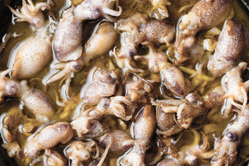 rustic baby squid in garlic and olive oil