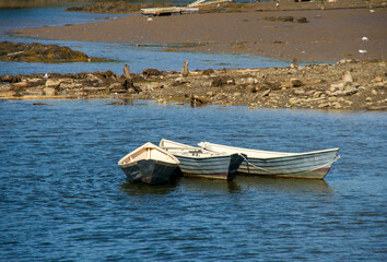 Obraz premium Three Rowboats in a lake