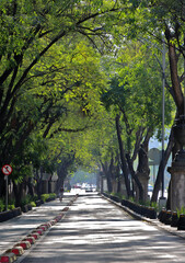 Ciudad o zona urbana con arboles y vegetación verde y edificios y calles con gente