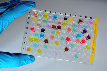 Covid-19 sample plate mutant screening colorful - scientist holding a high throughput 96 well...