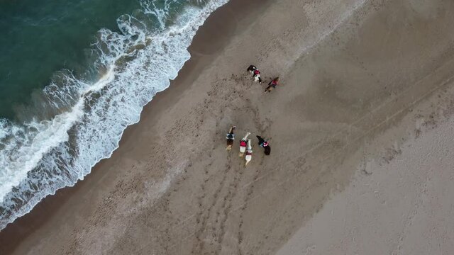 Vista a&eacute;rea de jinetes sobre los cabal los en la orilla del mar Mediterraneo.