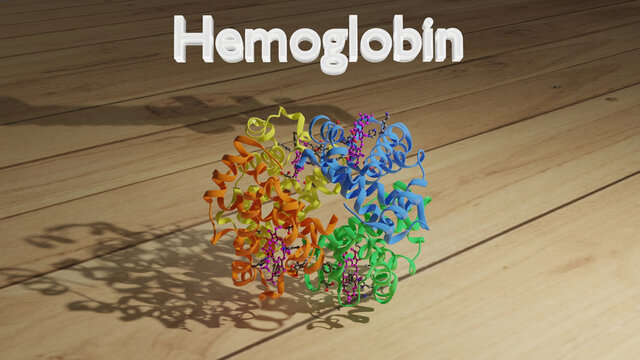 Hemoglobina humana