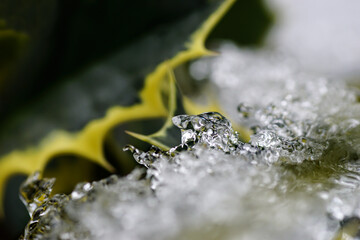 Im Schnee