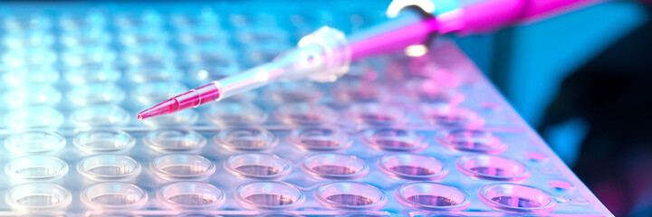 Tools for PCR amplification of DNA