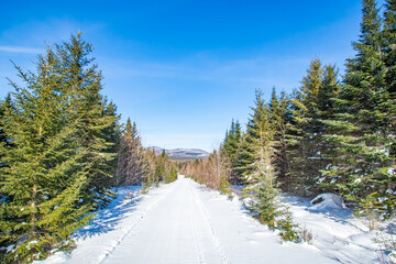 winter Nordic trail in the mountains